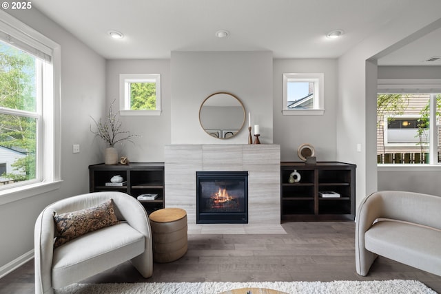 living area featuring wood finished floors and a fireplace