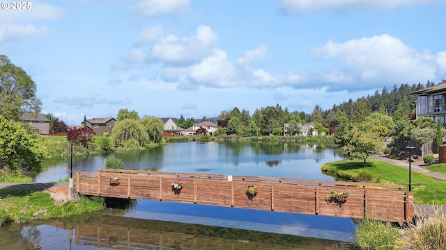 16117 SE Goosehollow Dr, Damascus, OR 97089 - water view