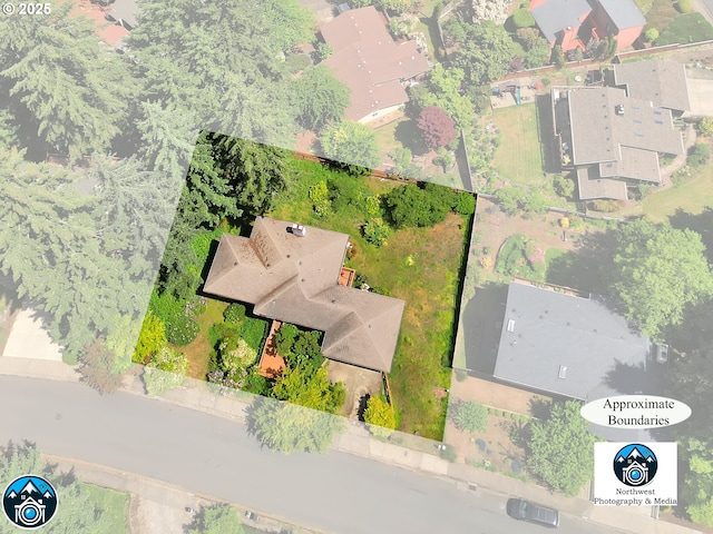 bird's eye view