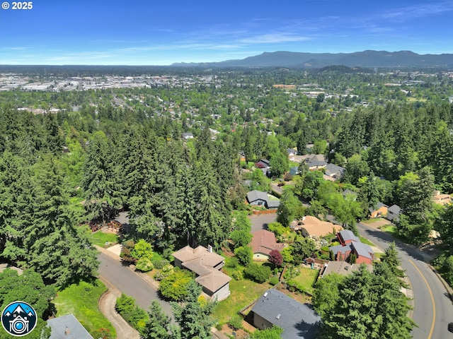 drone / aerial view of mountains
