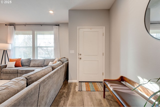 living room featuring hardwood / wood-style floors