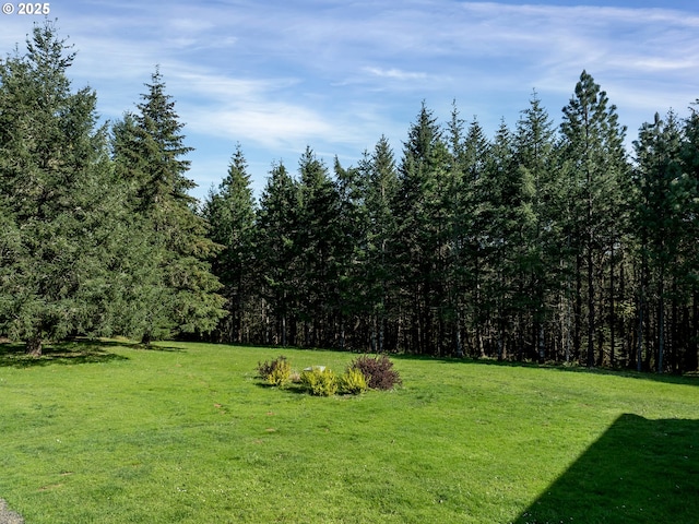 17234 Oakdale Rd, Dallas, OR 97338 - view of yard with a view of trees
