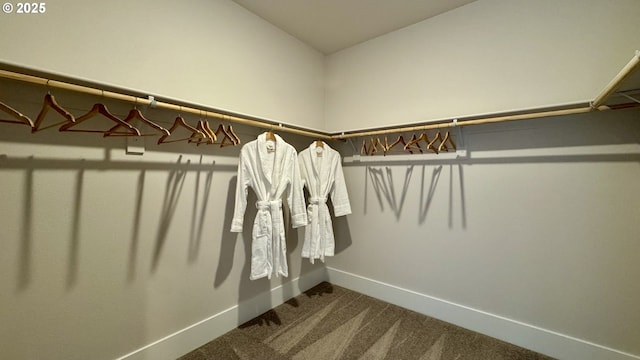 17890 SW Alvord Ln, Beaverton, OR 97007 - spacious closet featuring dark colored carpet