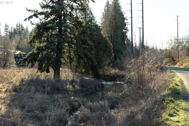 view of local wilderness