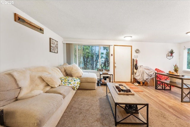 living room with a textured ceiling and hardwood / wood-style flooring