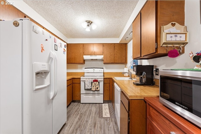 kitchen featuring a textured ceiling, light hardwood / wood-style floors, white appliances, and sink