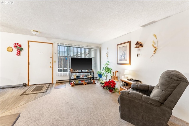 living room featuring carpet flooring and a textured ceiling