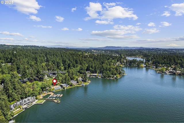 1308 Northshore Rd, Lake Oswego, OR 97034 - aerial view of a forest and a water and mountain view