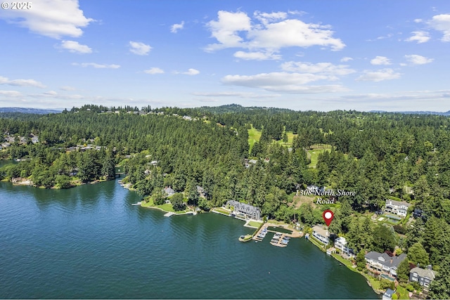 1308 Northshore Rd, Lake Oswego, OR 97034 - aerial view of property and surrounding area with a large body of water