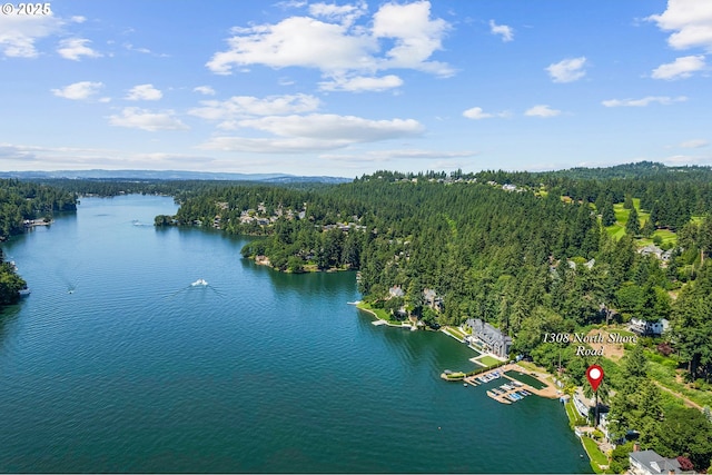 1308 Northshore Rd, Lake Oswego, OR 97034 - drone / aerial view of a large body of water