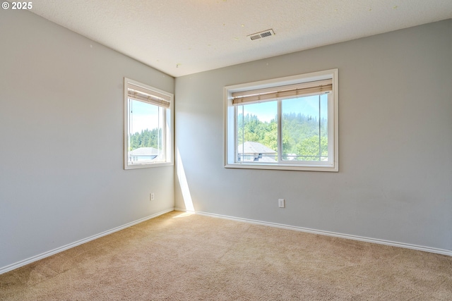 308 SW 38th Loop, Gresham, OR 97080 - carpeted empty room with baseboards