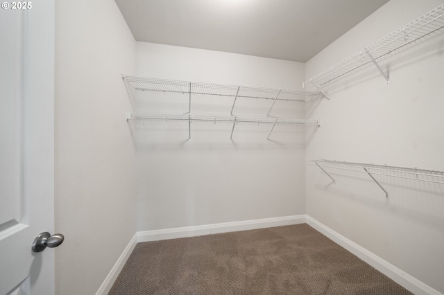 2310 S Heather St, Cornelius, OR 97113 - walk in closet with carpet flooring