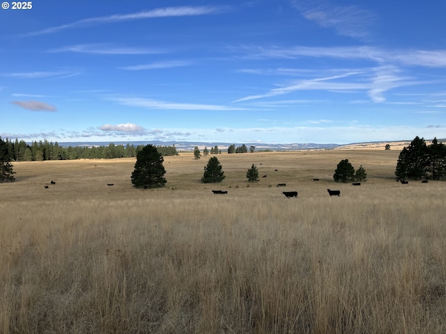 45000 Hidaway Springs Rd, Ukiah, OR 97880