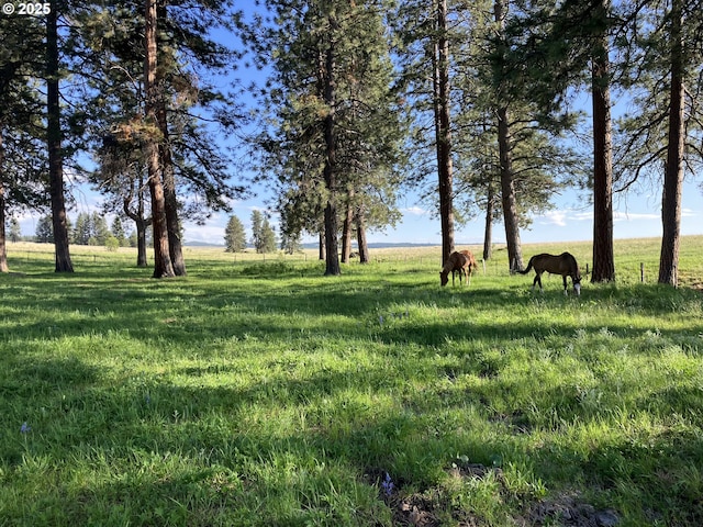 45000 Hidaway Springs Rd, Ukiah, OR 97880