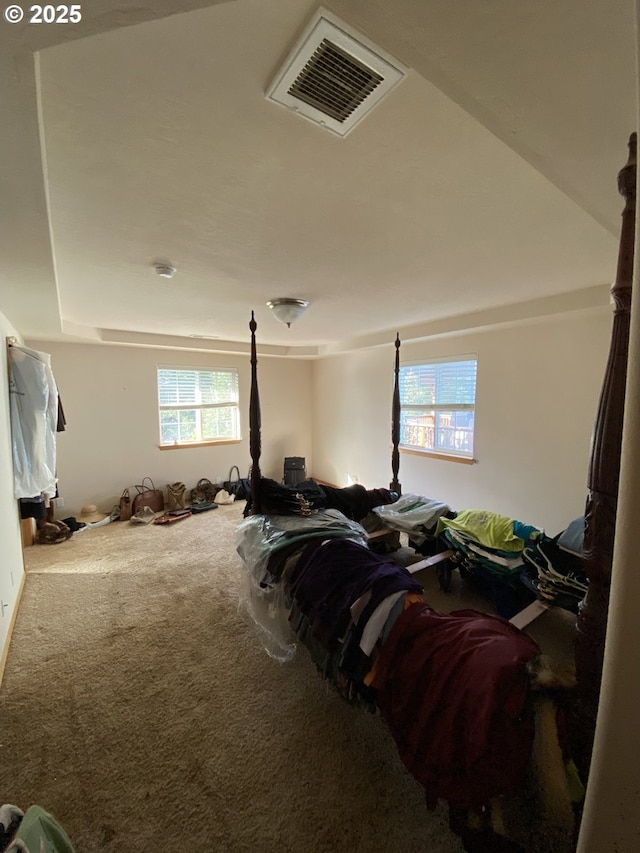 misc room with a healthy amount of sunlight, carpet, and visible vents