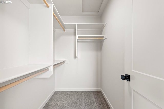 88104 7th St, Veneta, OR 97487 - walk in closet featuring carpet