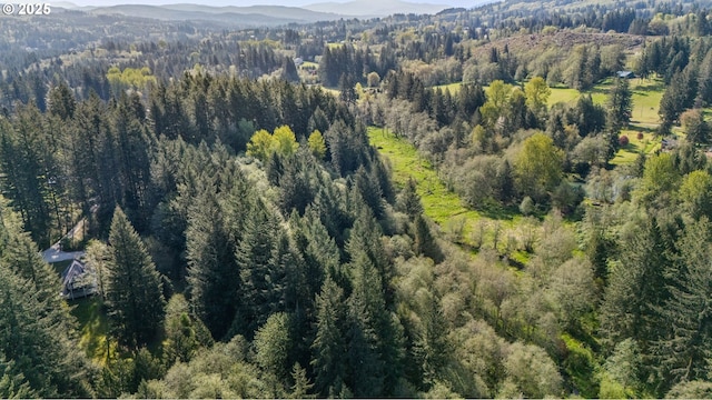 39402 NE 211th Ave, Amboy, WA 98601 - view of property location with a forest and a mountain backdrop