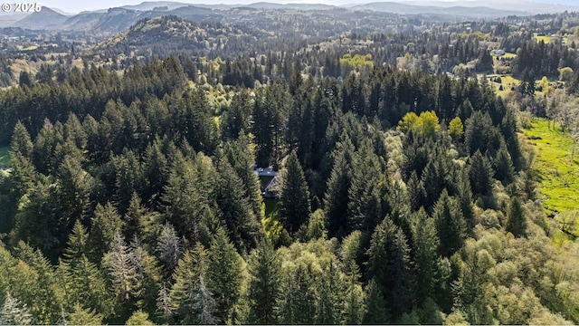 39402 NE 211th Ave, Amboy, WA 98601 - aerial overview of property's location with a mountainous background and a heavily wooded area