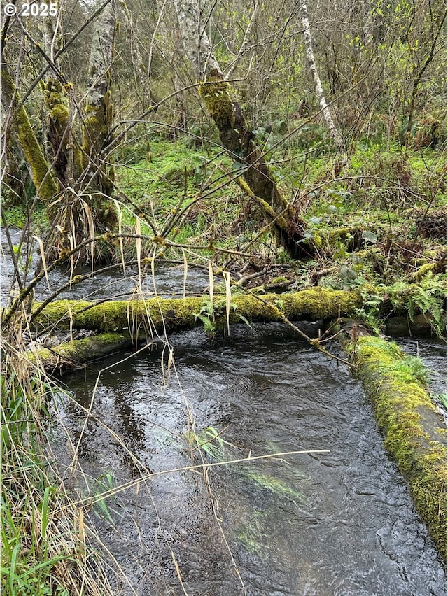 39402 NE 211th Ave, Amboy, WA 98601 - view of undeveloped land