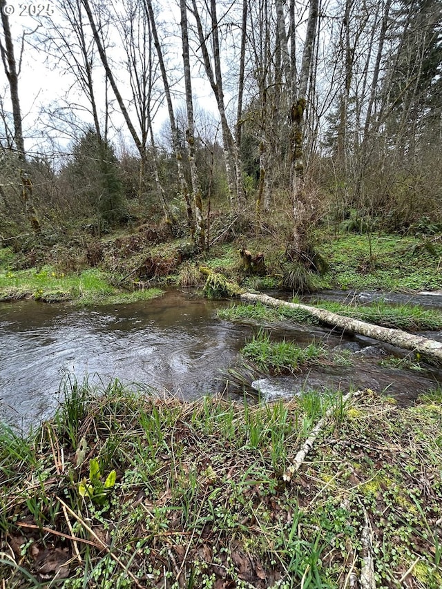 39402 NE 211th Ave, Amboy, WA 98601 - water view