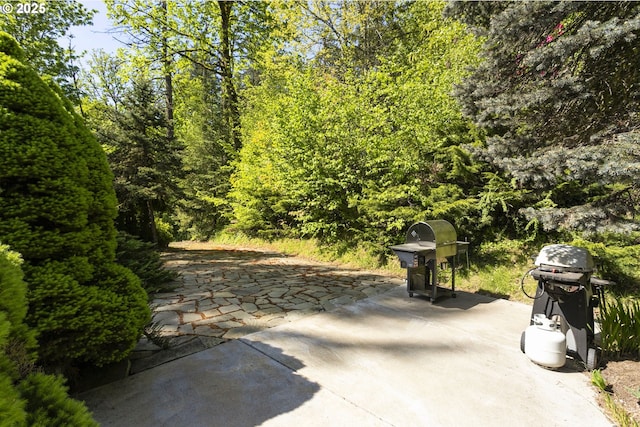 view of patio / terrace featuring a grill