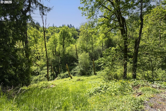 view of local wilderness with a view of trees