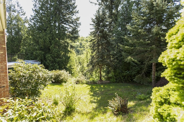 view of yard with a forest view