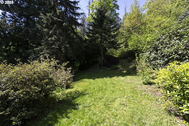 view of yard featuring a forest view