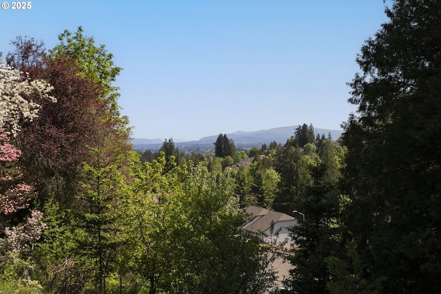 mountain view featuring a forest view
