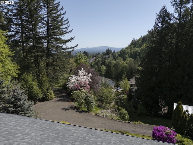 mountain view featuring a view of trees