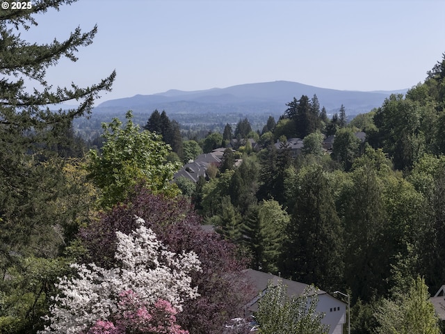 property view of mountains featuring a wooded view