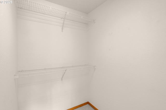 16149 SW Snapdragon Ln, Tigard, OR 97223 - walk in closet with light colored carpet