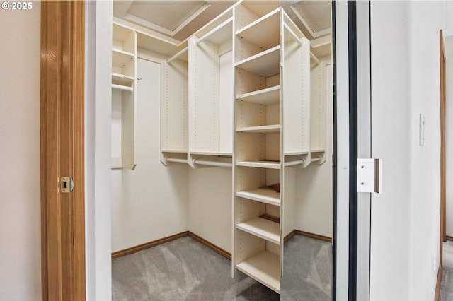 8355 SW 159th Pl, Beaverton, OR 97007 - walk in closet featuring carpet floors