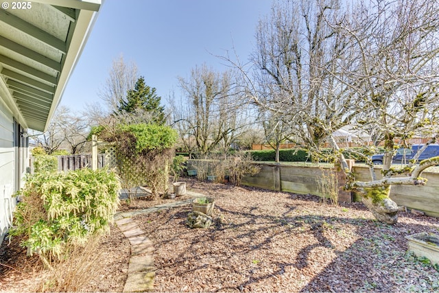 view of yard with fence