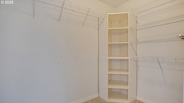 view of spacious closet