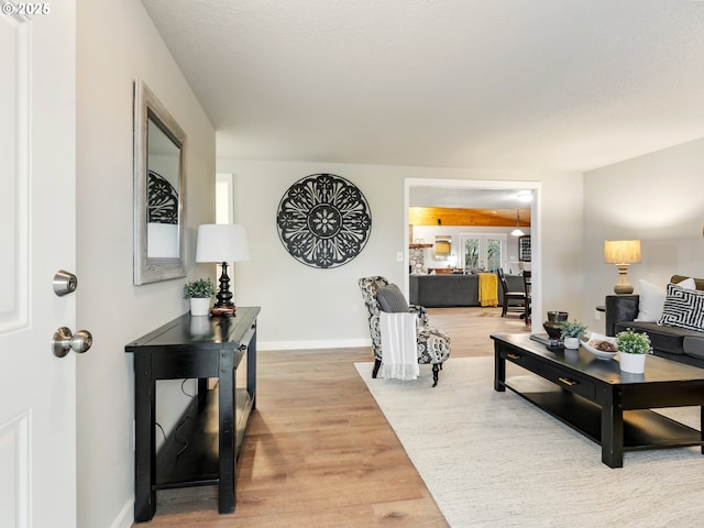 living room with hardwood / wood-style flooring