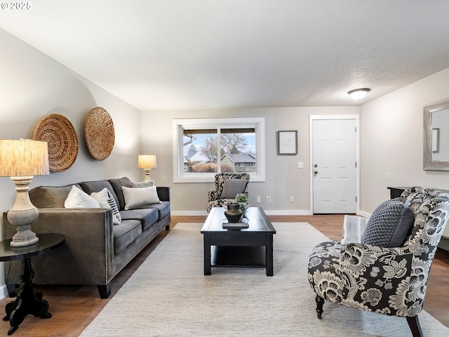 living room with a textured ceiling and hardwood / wood-style flooring