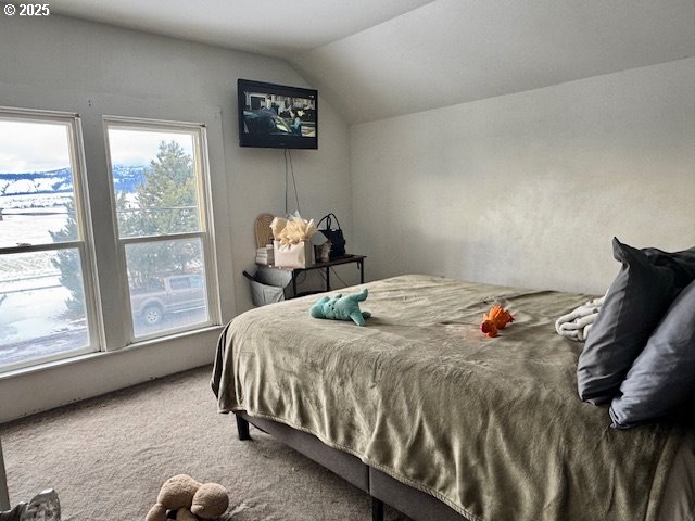 bedroom with lofted ceiling and carpet floors