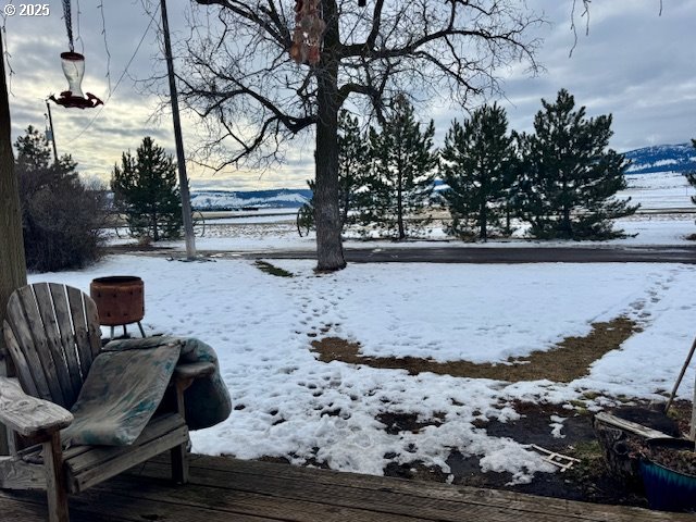 view of yard layered in snow