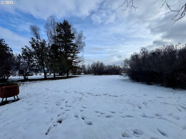 view of yard covered in snow