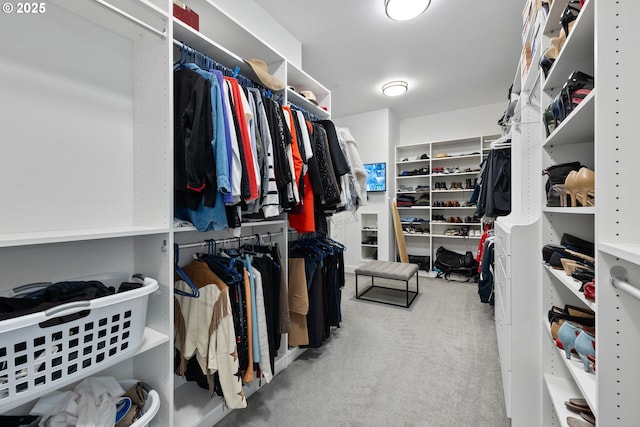 spacious closet featuring carpet