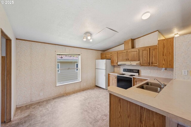 kitchen with range with electric cooktop, freestanding refrigerator, under cabinet range hood, a sink, and light countertops
