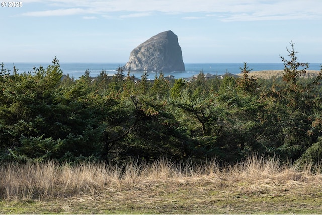 Listing photo 2 for 50 Nestucca Ridge Rd, Pacific City OR 97135