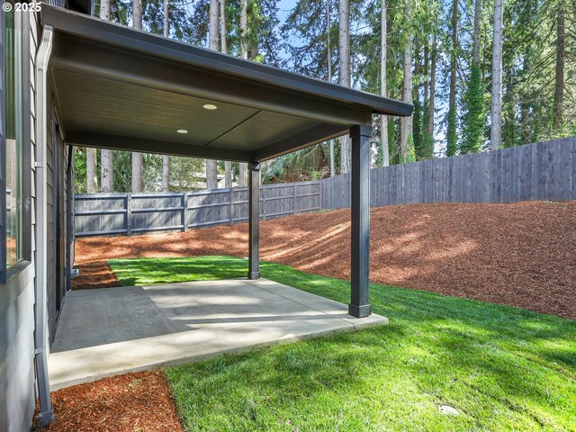 view of yard with a patio and a fenced backyard