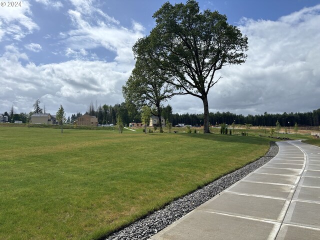 view of community featuring playground community and a lawn