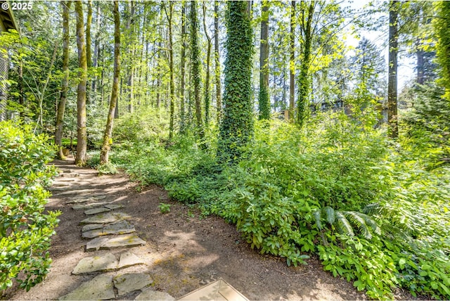 4054 Canal Woods Ct, Lake Oswego, OR 97034 - exterior space