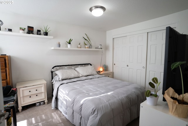 bedroom featuring carpet and a closet