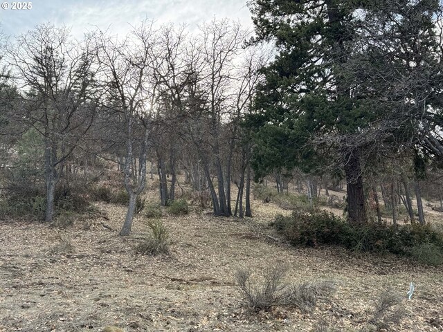 Coopers Hawk Rd, Klamath Falls, OR 97601