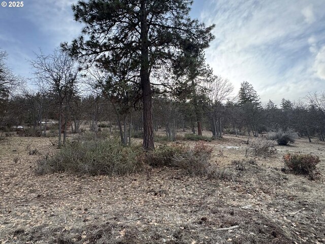 Coopers Hawk Rd, Klamath Falls, OR 97601