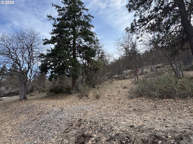 Coopers Hawk Rd, Klamath Falls, OR 97601